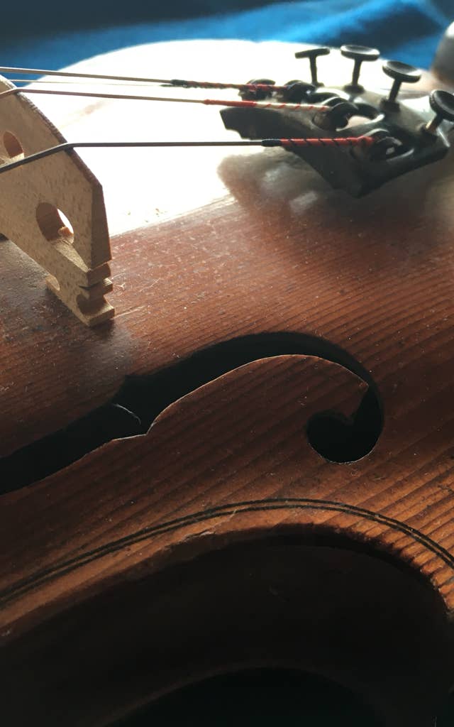 f y puente de violín